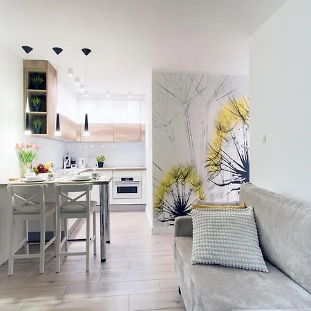 Młynkówka Apartamento