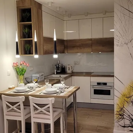 Apartment Mlynkowka *