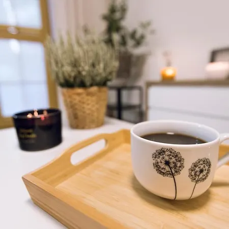 Apartment Mlynkowka *