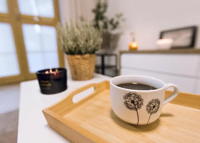 Апартаменты Mlynkowka *